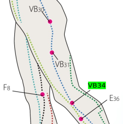 VB34